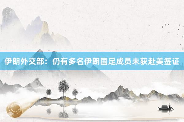 伊朗外交部：仍有多名伊朗国足成员未获赴美签证